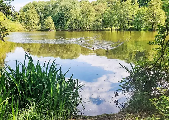 Grandma By Interhome * Frankenau